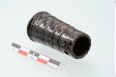 Foto von Bronzeortband (NHMW-PRAE-025523)